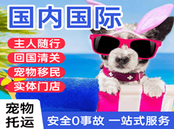 丹霞空运公司国际宠物托运 【国